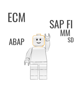 programmatore web java junior ECM Consultant
